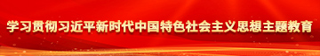 操你的逼子学习贯彻习近平新时代中国特色社会主义思想主题教育